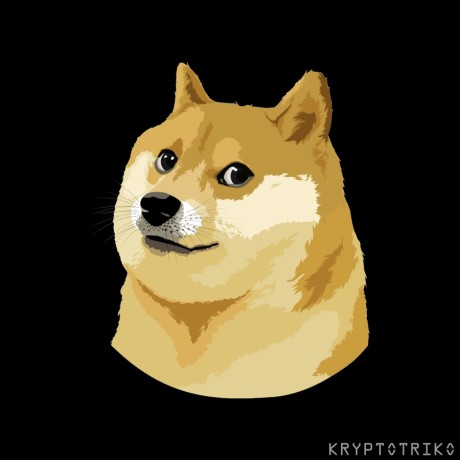 DOGE, tričko